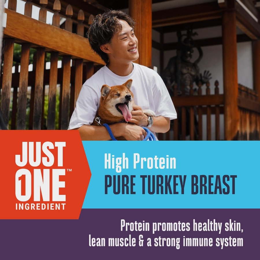 Whole Life Dog Just One Turkey – Food And Snacks High In Protein Bewertung und Preis
