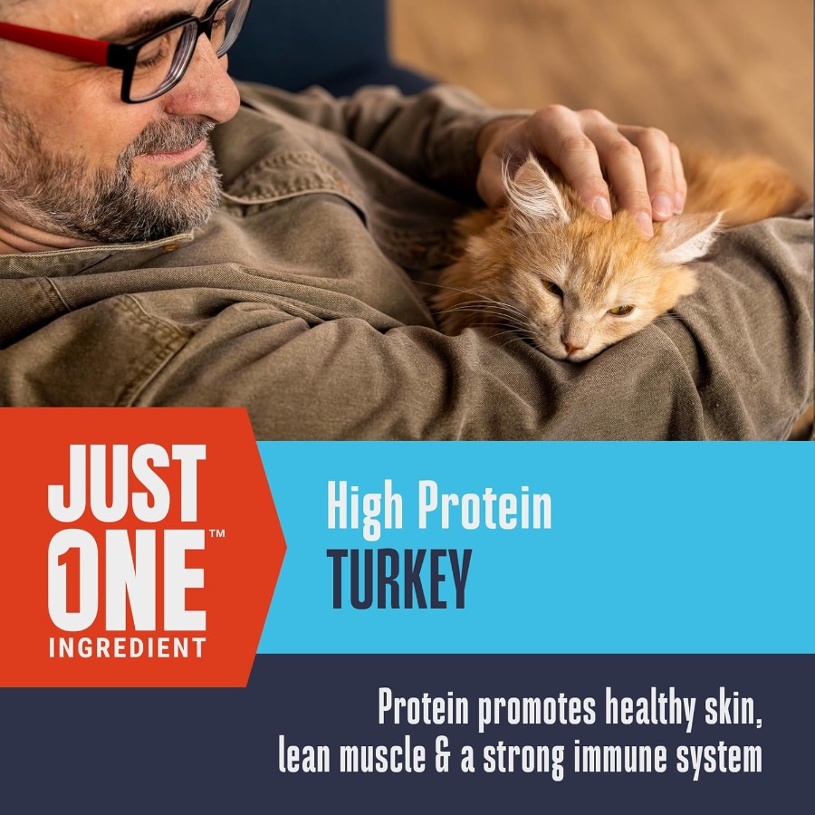 Whole Life Cat Just One Turkey – Food And Snacks High In Protein Bewertung und Preis