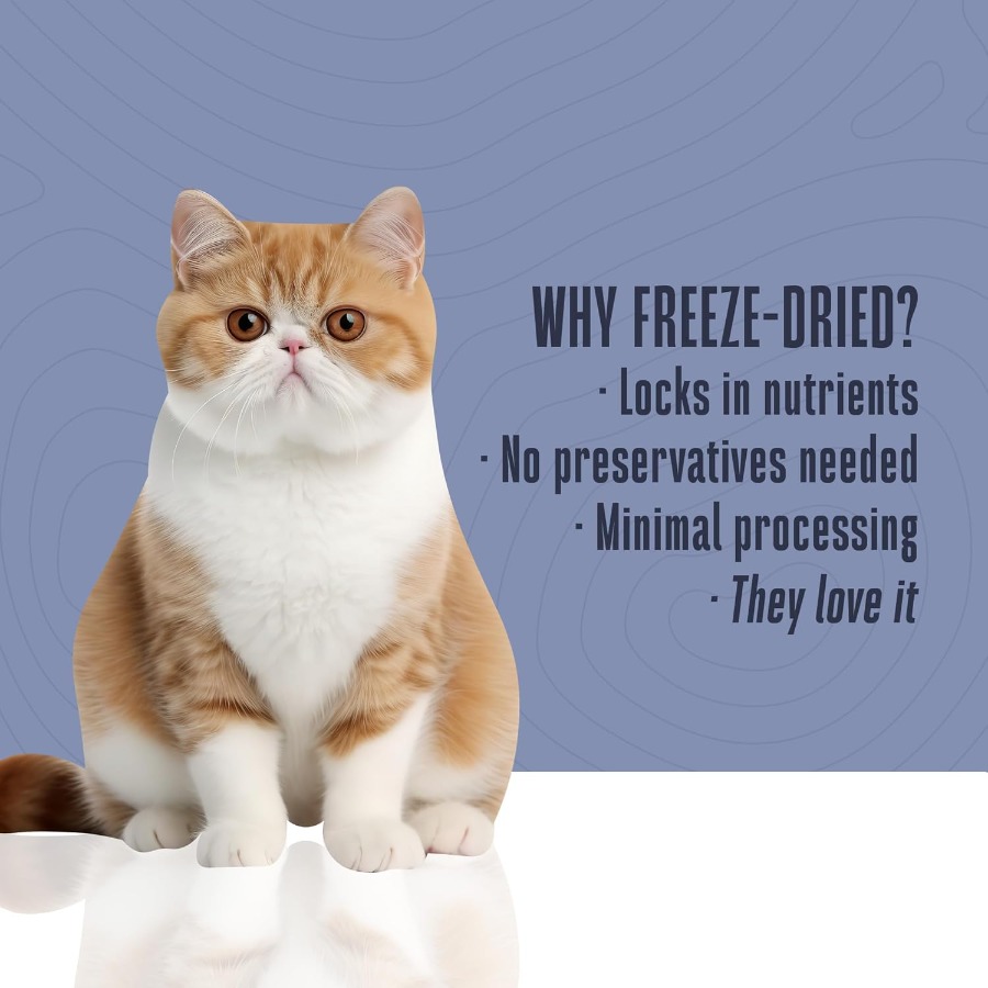 Whole Life Cat Just One Turkey – Food And Snacks High In Protein Bewertung und Preis