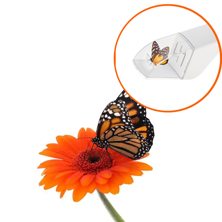 Fly Trap Insect Catcher Moth F – Fruit Roll Up Bewertung und Preis