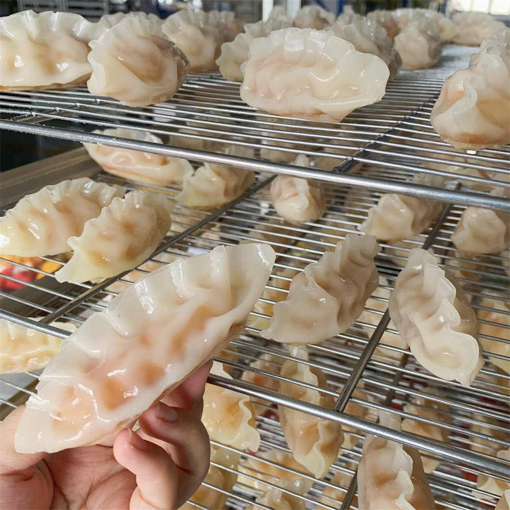 Steamed Dumpling with Meat Veg – Food Snacks Order Bewertung und Preis