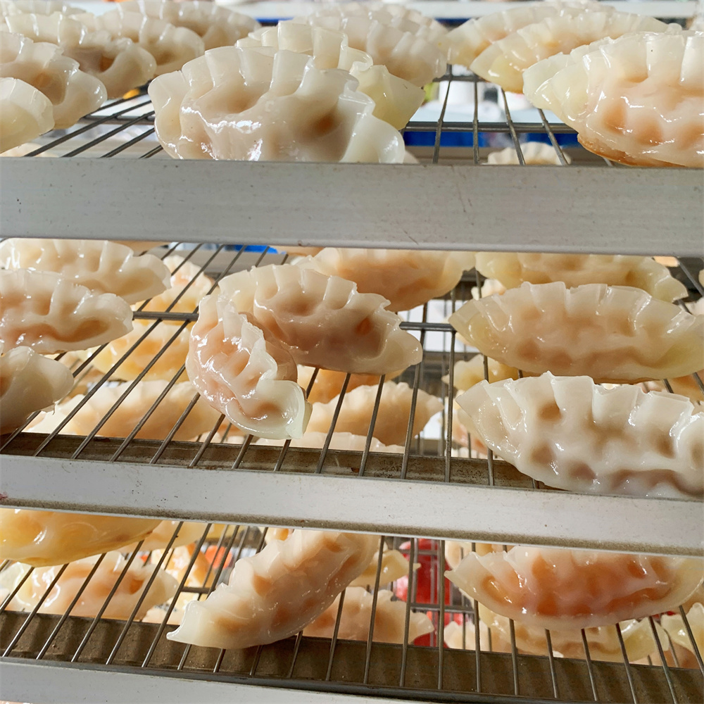 Steamed Dumpling with Meat Veg – Food Snacks Order Bewertung und Preis