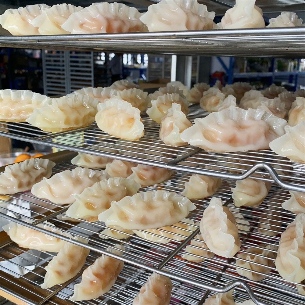 Steamed Dumpling with Meat Veg – Food Snacks Order Bewertung und Preis