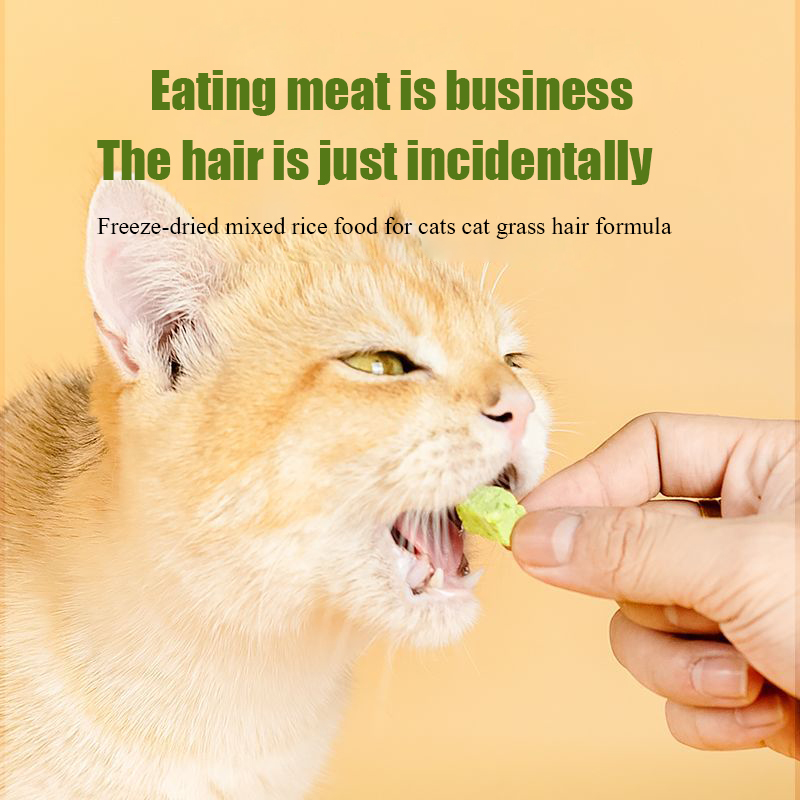 Cat grass freeze-dried meat sq – Snacks Food Ready To Eat Bewertung und Preis