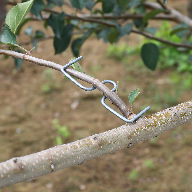 30pcs/set Fruit Tree Branch Pu – Fruit Roll Up Bewertung und Preis