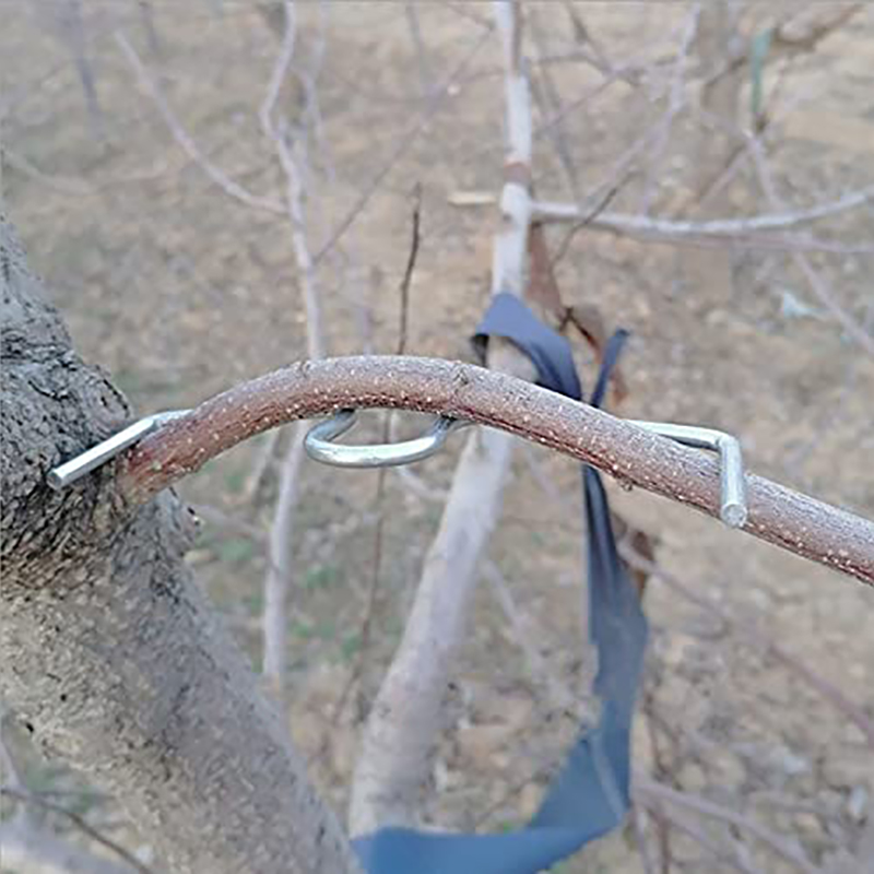 30pcs/set Fruit Tree Branch Pu – Fruit Roll Up Bewertung und Preis