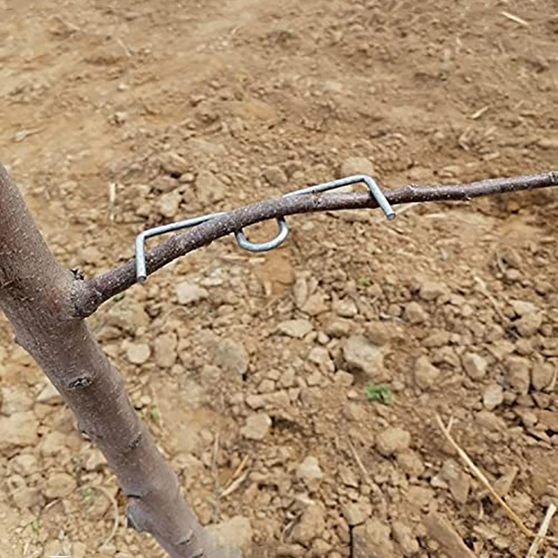 30pcs/set Fruit Tree Branch Pu – Fruit Roll Up Bewertung und Preis