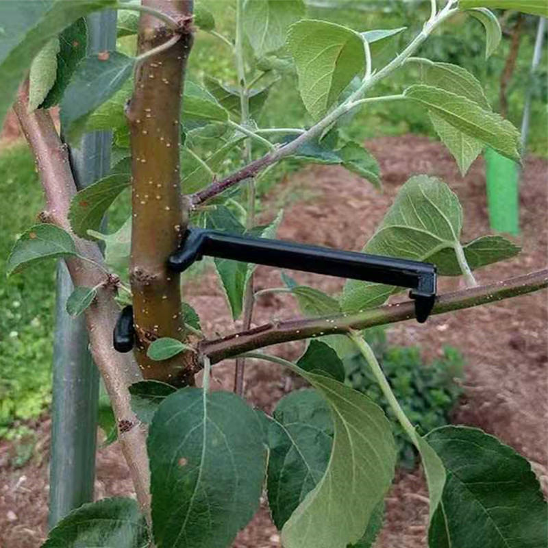 Fruit Tree Branch Puller Plant – Fruit Roll Up Bewertung und Preis