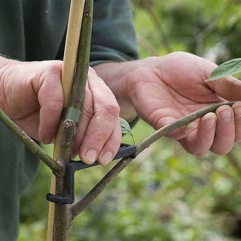 Fruit Tree Branch Puller Plant – Fruit Roll Up Bewertung und Preis