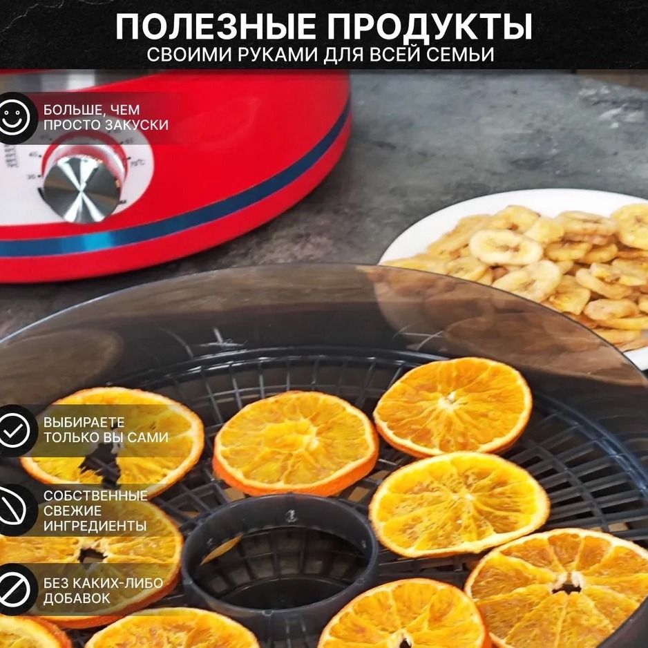 Household small fruit drying m – Food Dehydrator Snacks Bewertung und Preis